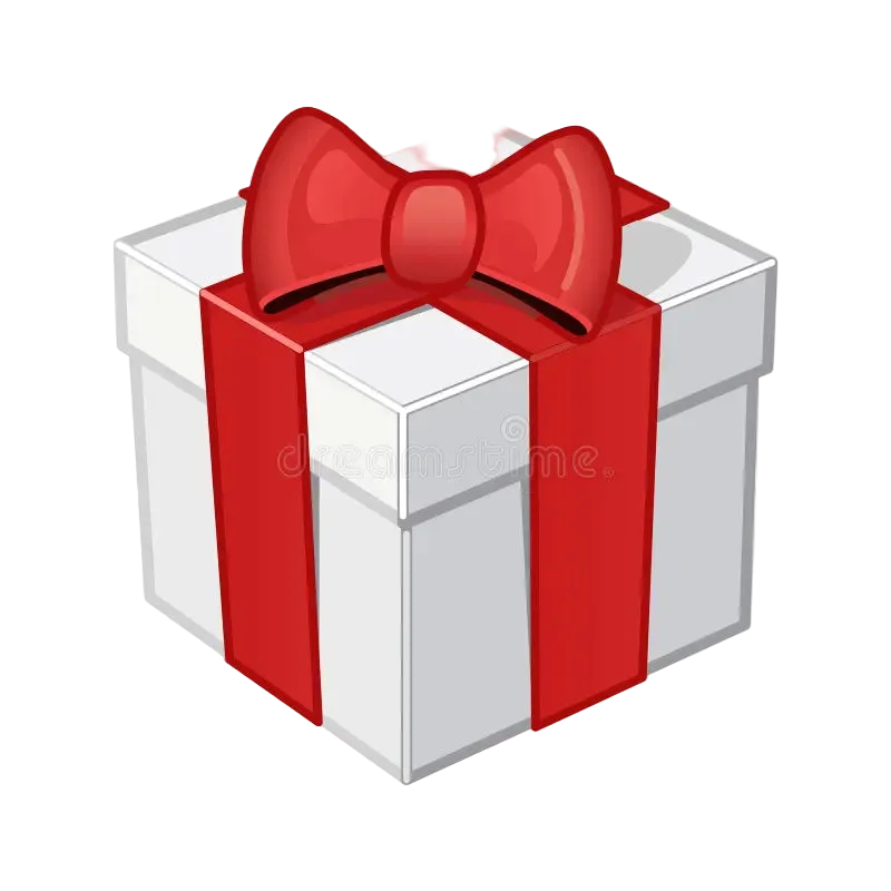 Mystery Christmas Gift
